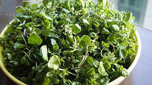 Watercress Tops the List as Most Nutrient Vegetable