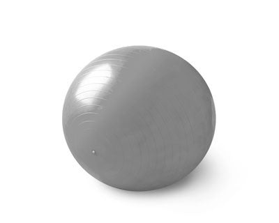 Large best sale stability ball