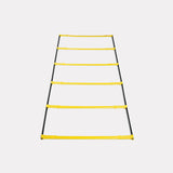 Sklz Elevation ladder