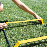 Sklz Elevation ladder