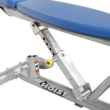 Hoist CF-3162 Adjustable Decline Bench
